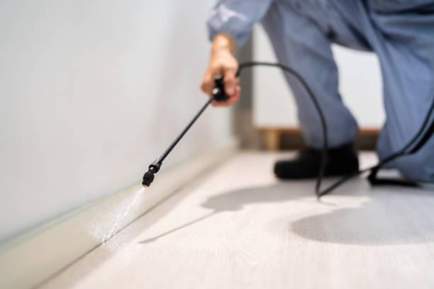 Licensed Pest Control service in Montevideo, MN - Show Me Pest Control
