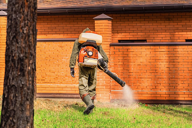 Bed Bug Clearance Verification and Documentation in Montevideo